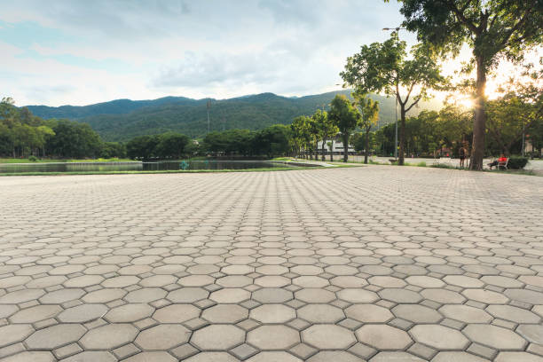 Best Local Driveway Pavers  in Georgetown, OH
